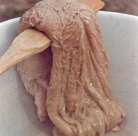 kamelji želodec za spodbujanje potence